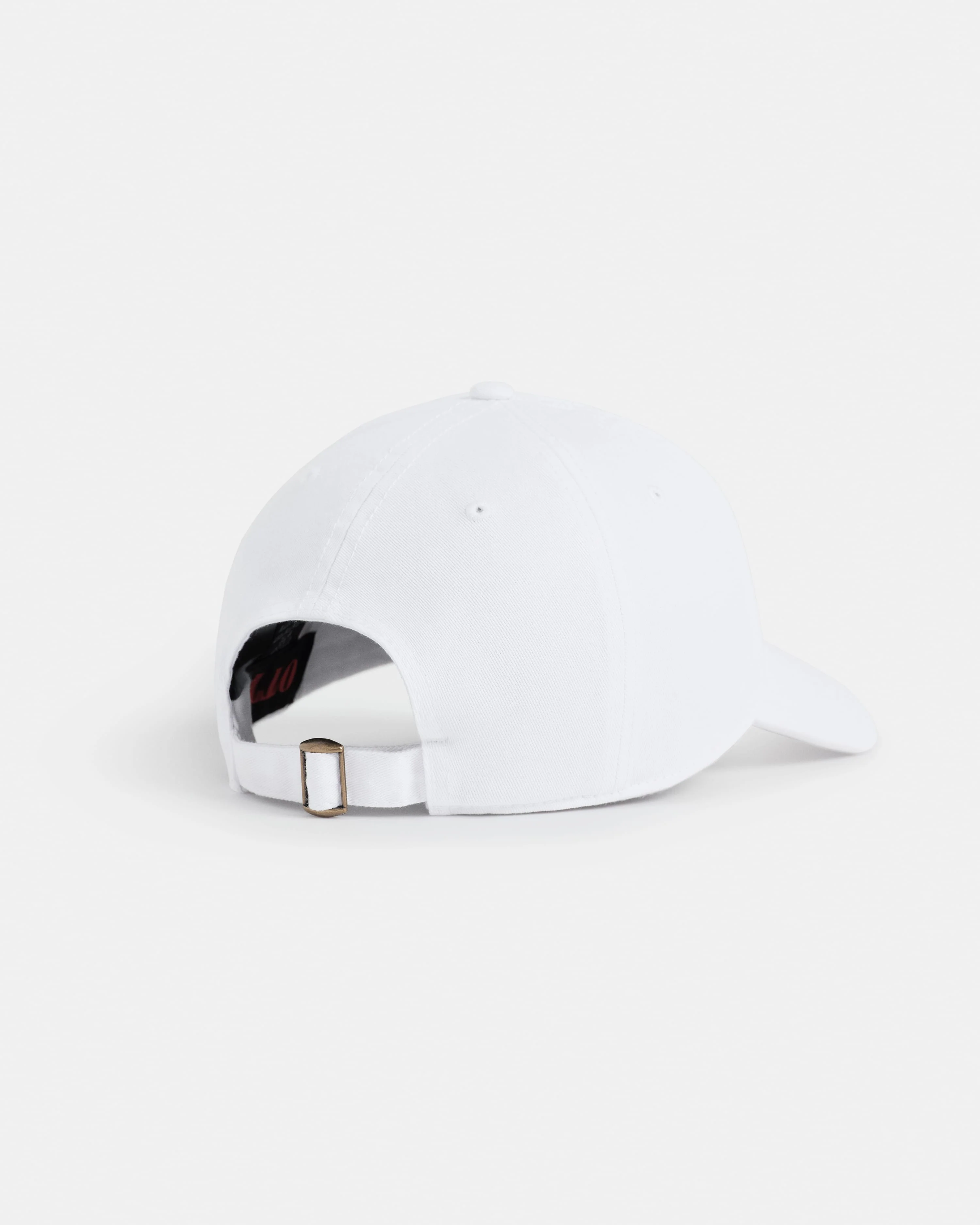 Joe's 1913 Dad Hat