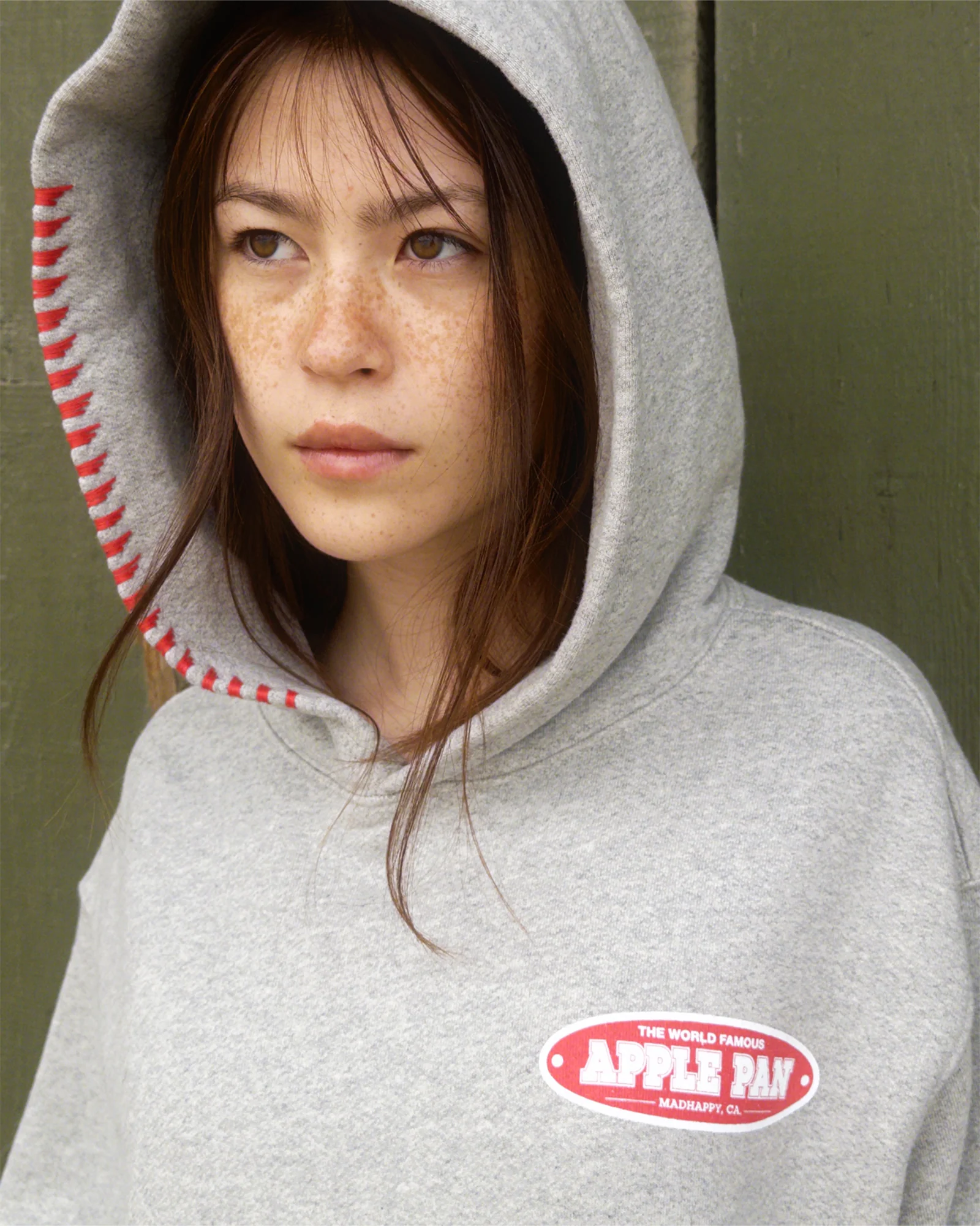 Apple Pan Pie Fleece Hoodie